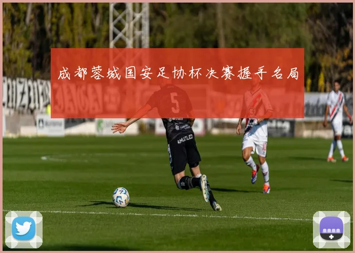 成都蓉城国安足协杯决赛握手名局