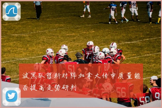 波黑队哲科对阵加拿大传中质量能否提高走势研判