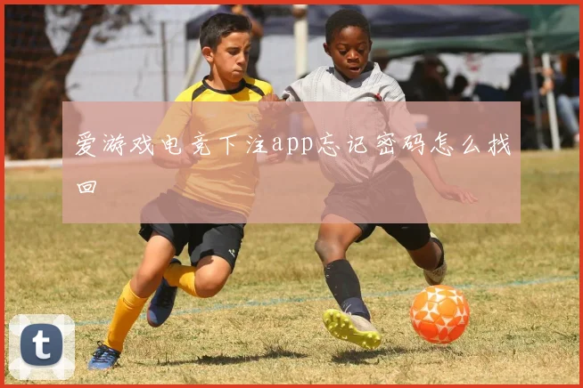爱游戏电竞下注app忘记密码怎么找回